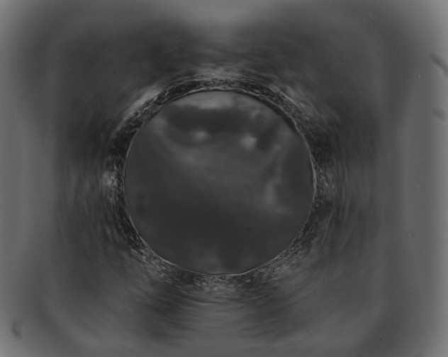 X0000092321254200709141406