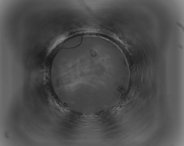 X0000092321255200709141406