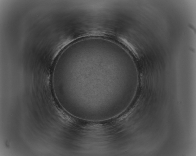 X0000092321260200709141406