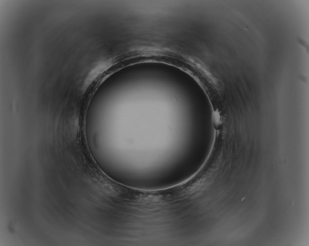 X0000092321261200709141406
