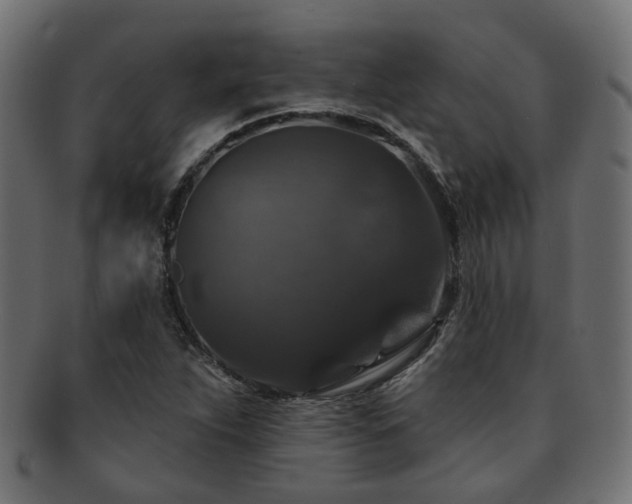X0000092321263200709141406
