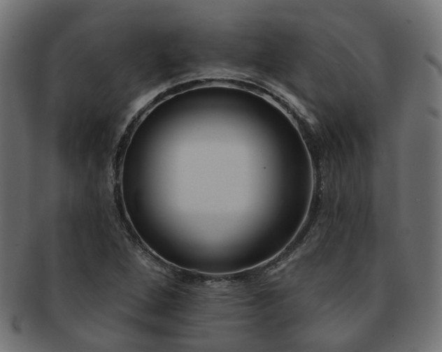 X0000092321264200709141406