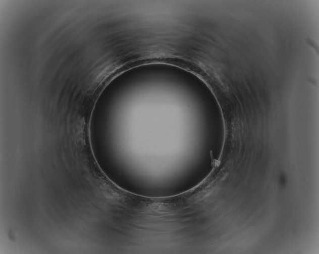 X0000092321265200709141406