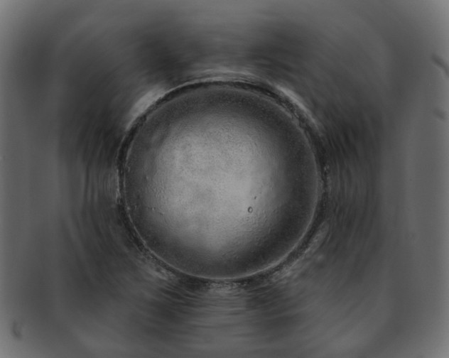 X0000092321267200709141406