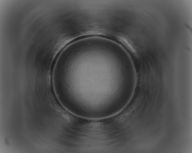 X0000092321268200709141406
