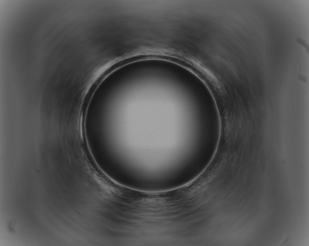 X0000092321272200709141406
