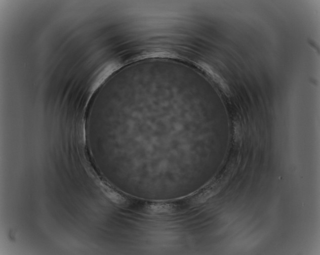 X0000092321274200709141406