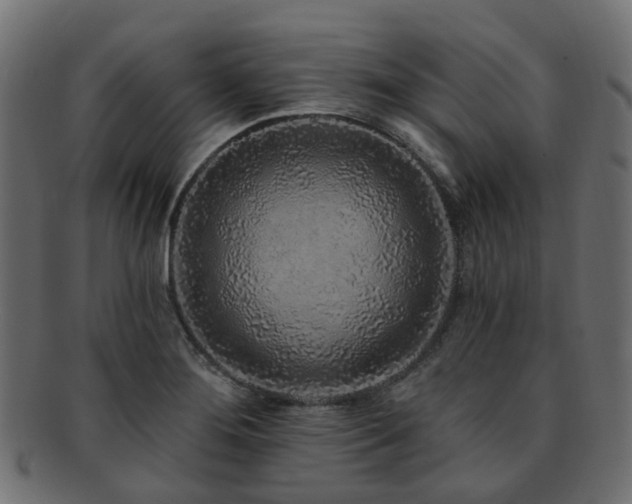 X0000092321276200709141406