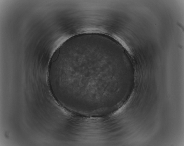 X0000092321277200709141406