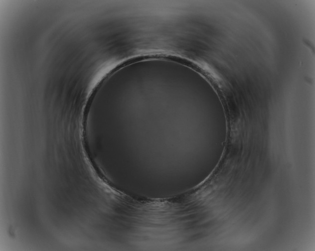 X0000092321279200709141406