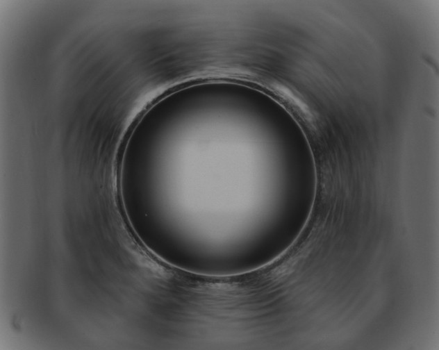 X0000092321280200709141406