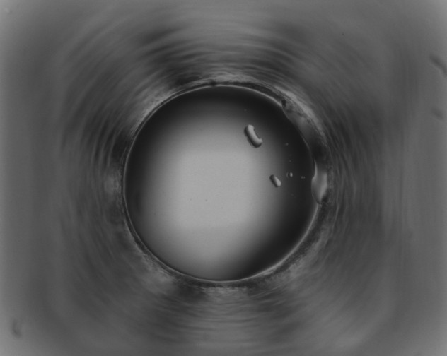 X0000092321281200709141406