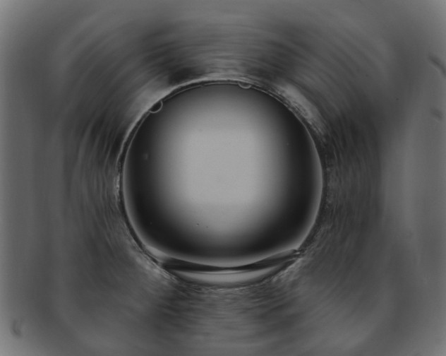 X0000092321284200709141406