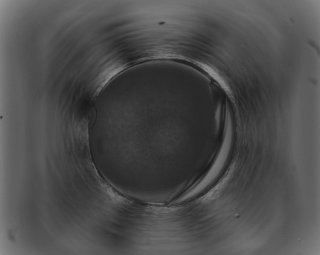X0000092321289200709141406