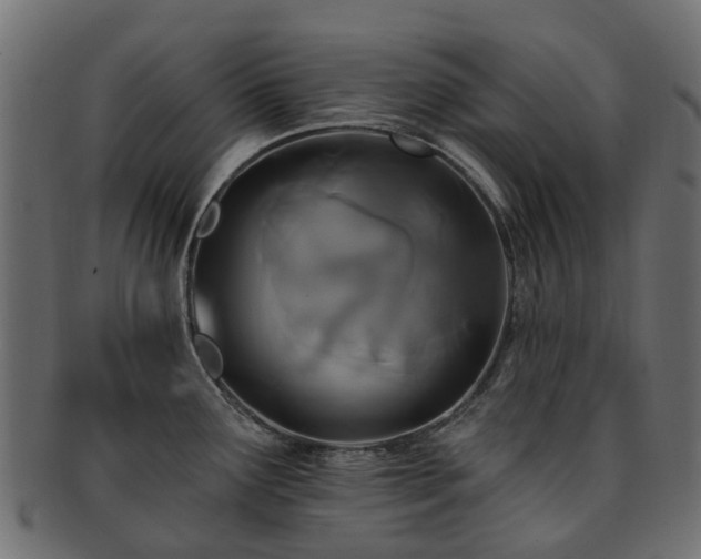 X0000092321291200709141406