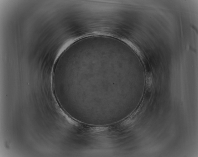 X0000092321294200709141406