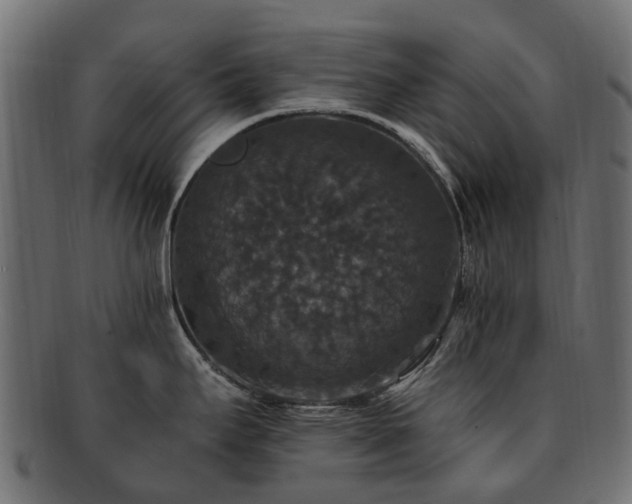 X0000092321295200709141406