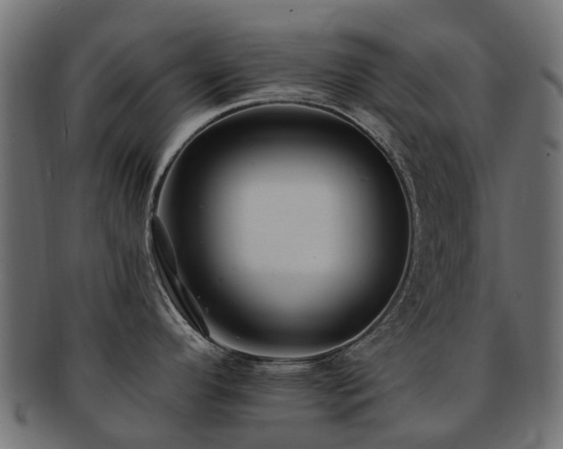 X0000092321296200709141406