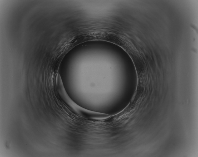 X0000092321298200709141405