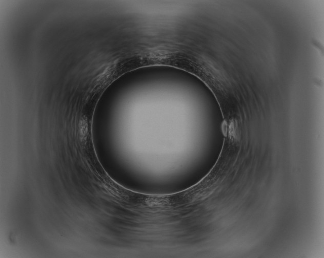 X0000092321299200709141405