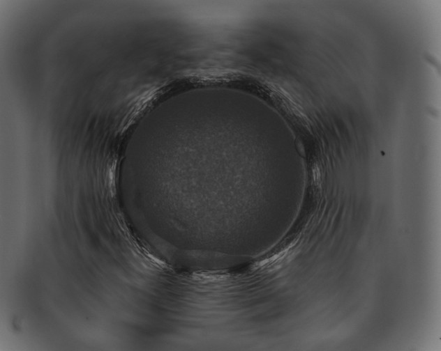 X0000092321300200709141405