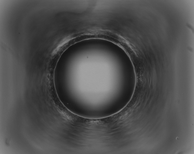 X0000092321304200709141405