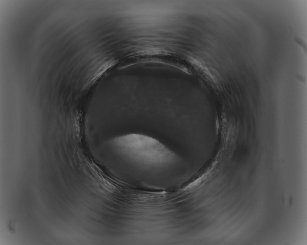 X0000092321305200709141405