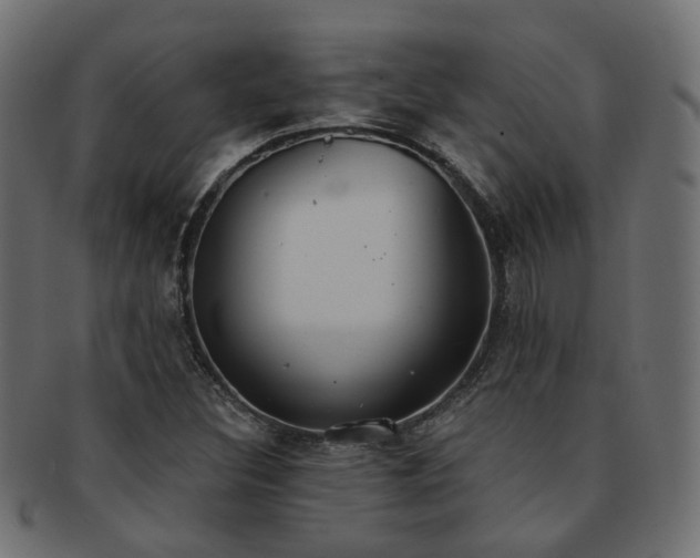 X0000092321308200709141405