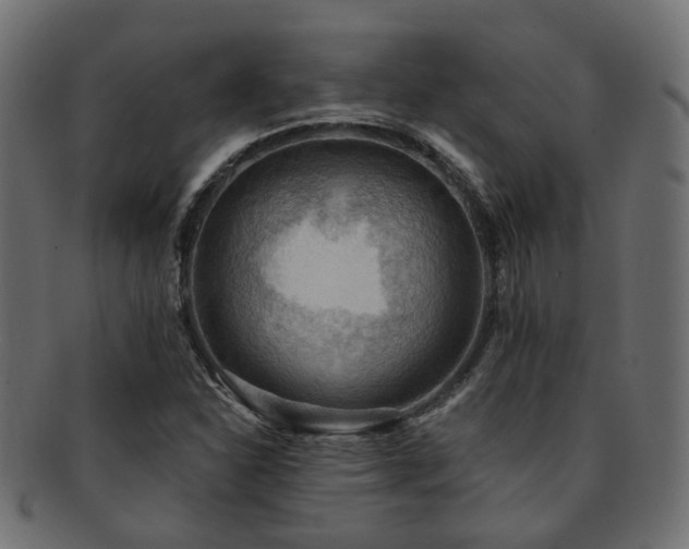 X0000092321310200709141405