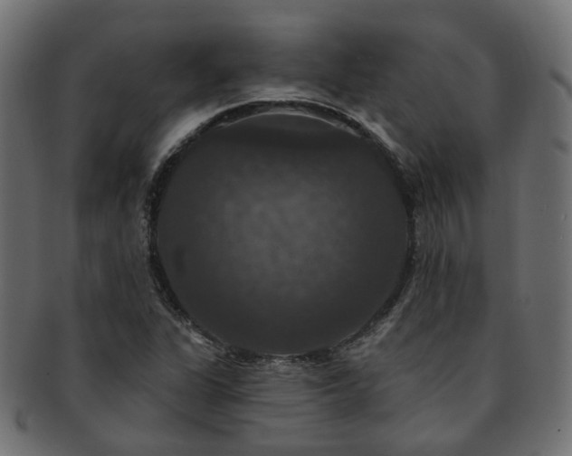 X0000092321311200709141405