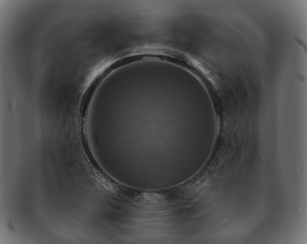 X0000092321312200709141405