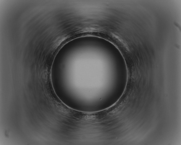 X0000092321313200709141405