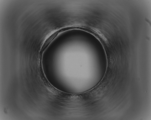 X0000092321316200709141405