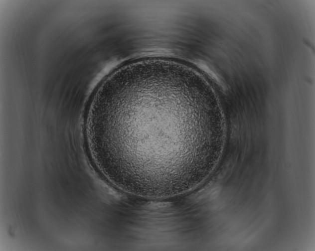 X0000092321325200709141406