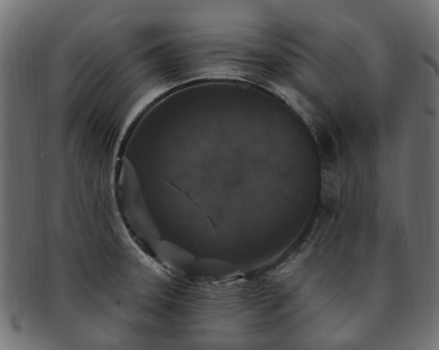X0000092321331200709141406