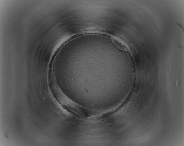 X0000092321333200709141406