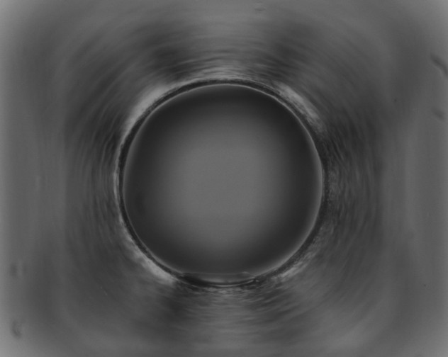X0000092321334200709141406
