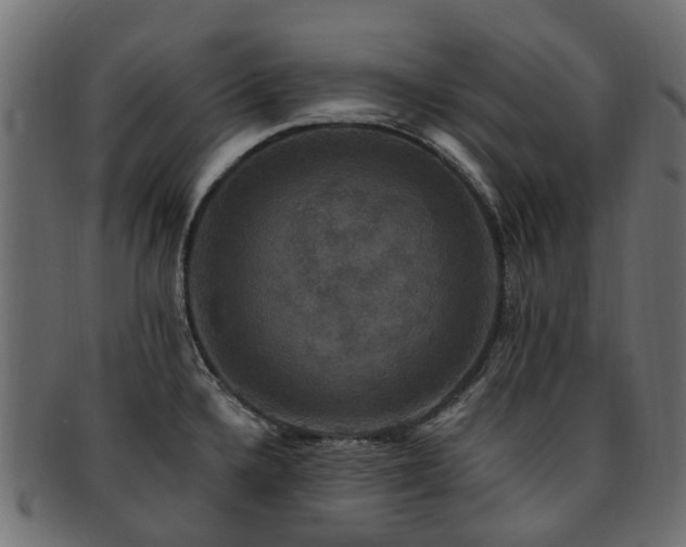 X0000092321336200709141406