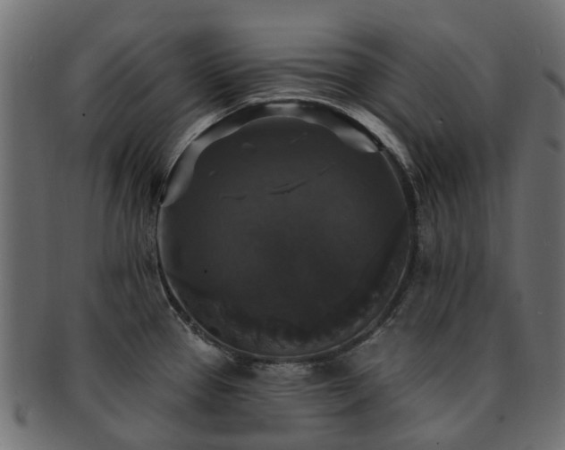X0000092321337200709141406
