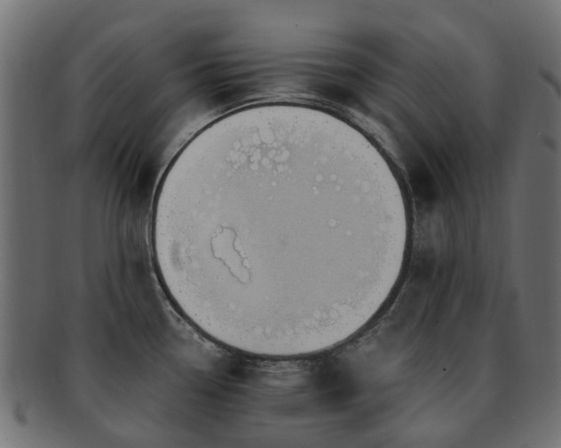 X0000092321338200709141406