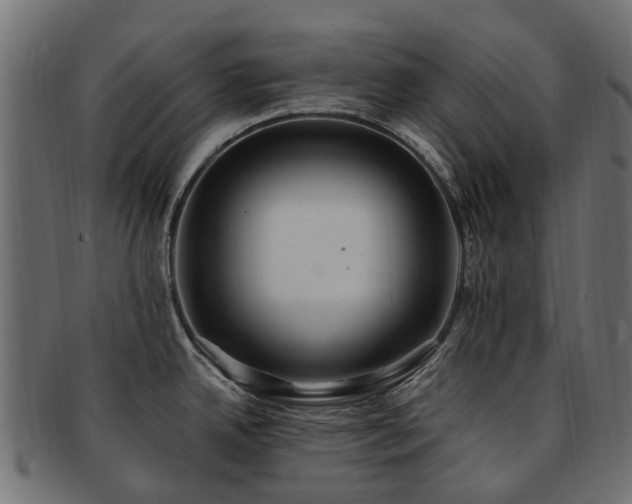 X0000092321342200709141406