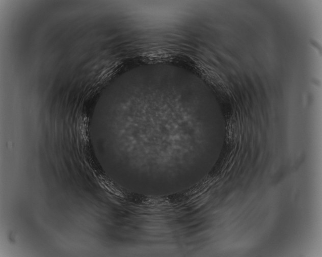 X0000092321346200709141405