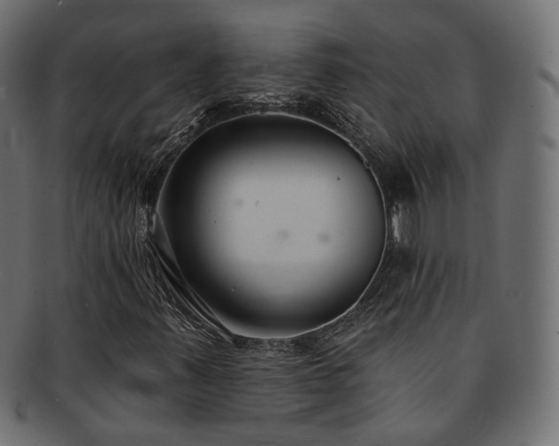 X0000092321347200709141405