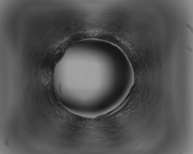 X0000092321349200709141405