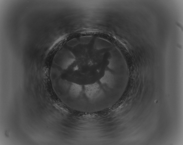 X0000092321351200709141405