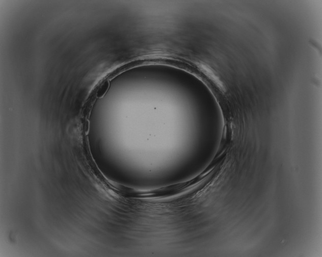 X0000092321356200709141405