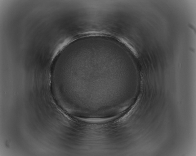 X0000092321357200709141405