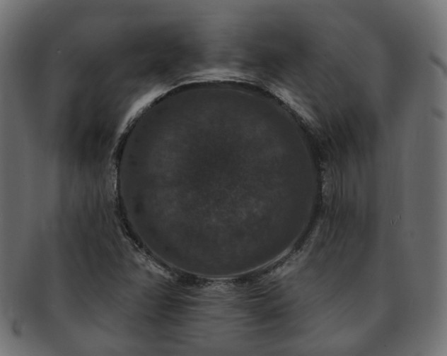 X0000092321358200709141405