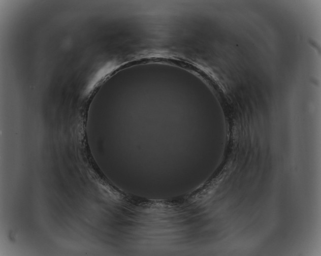 X0000092321359200709141405