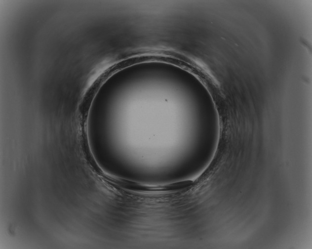 X0000092321360200709141405